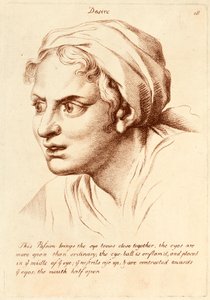 Die Leidenschaft 